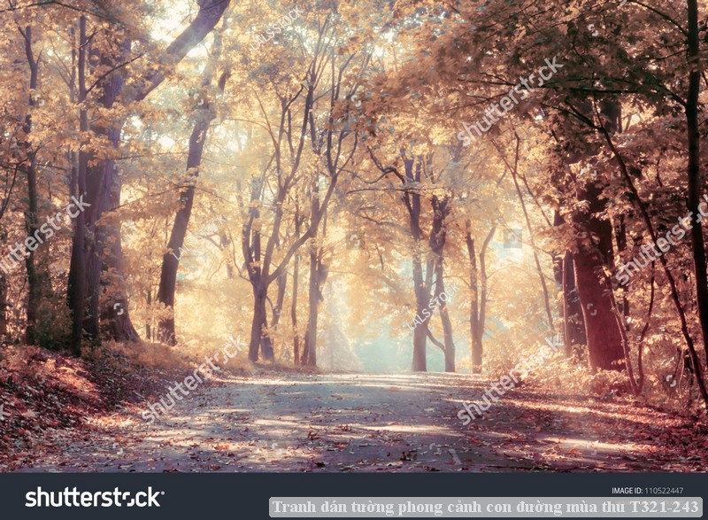 Tranh dán tường phong cảnh con đường mùa thu T321-243